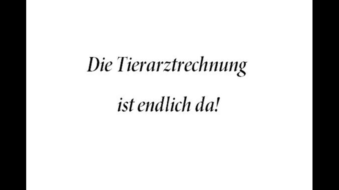 CAV Things ReiterInnen don´t say 11