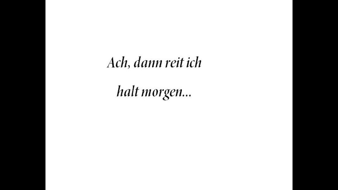 CAV Things ReiterInnen don´t say 24