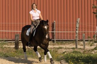CAV Tietze Dressur Coach Video 07 - Absprachen mit Deinem Pferd