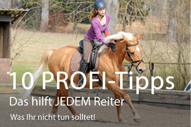 Das Sollten Reiter Im Training Beachten Cavallo de
