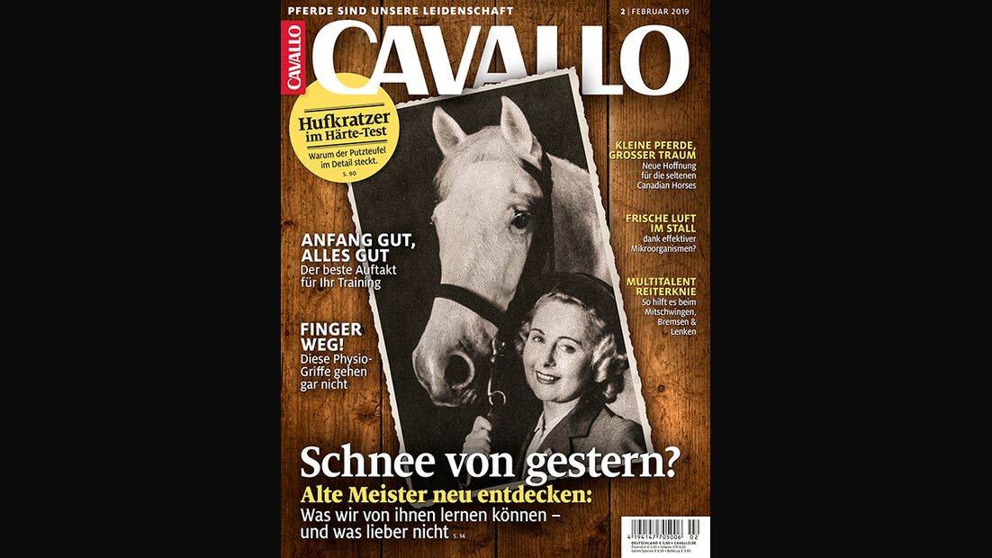 CAV Titel Cover Februar 2019