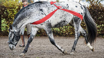CAV Training Elastikbänder Aufmacher