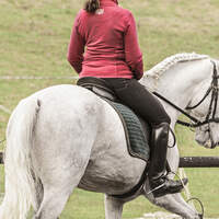CAV Travers Reitersitz