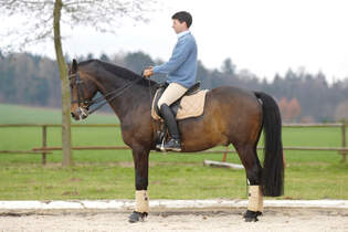 CAV Uebergaenge Anhalten 3 (jpg)