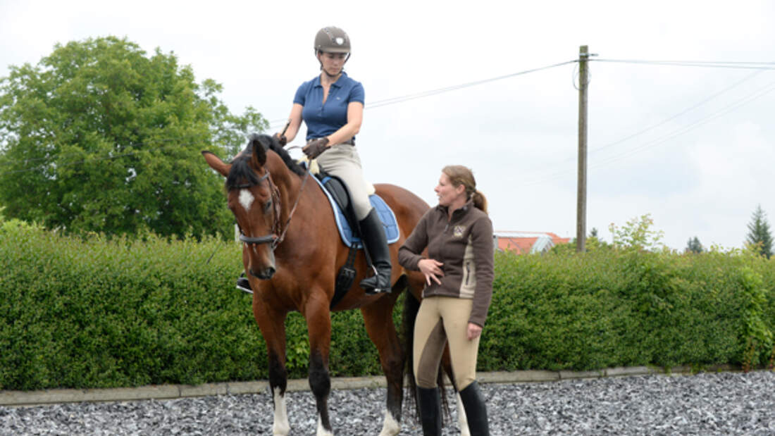CAV Übergänge richtig reiten Dressur 3