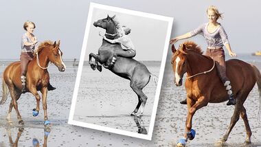 CAV Urlaub mit Pferd Leserfotos