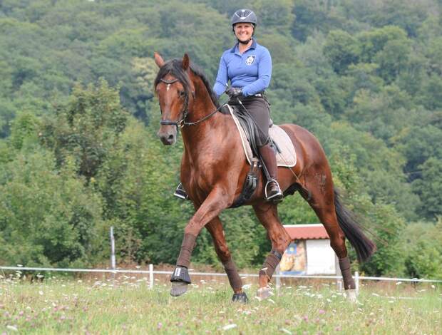 CAV Uta Gräf Dressur