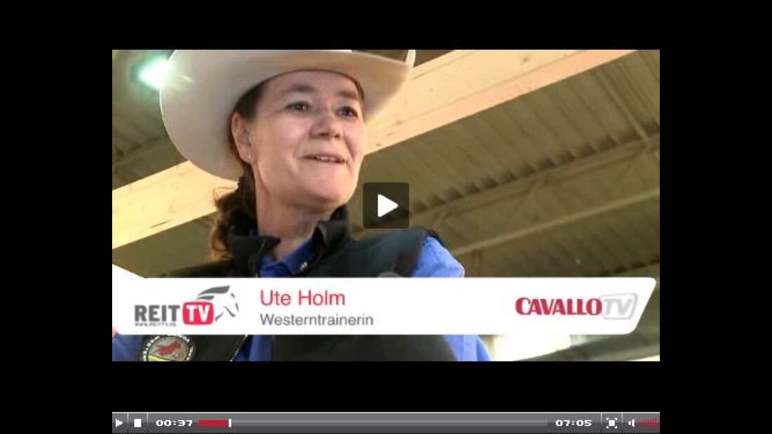 CAV Ute Holm Trailer Jubiläum CAVALLO Geburtstag