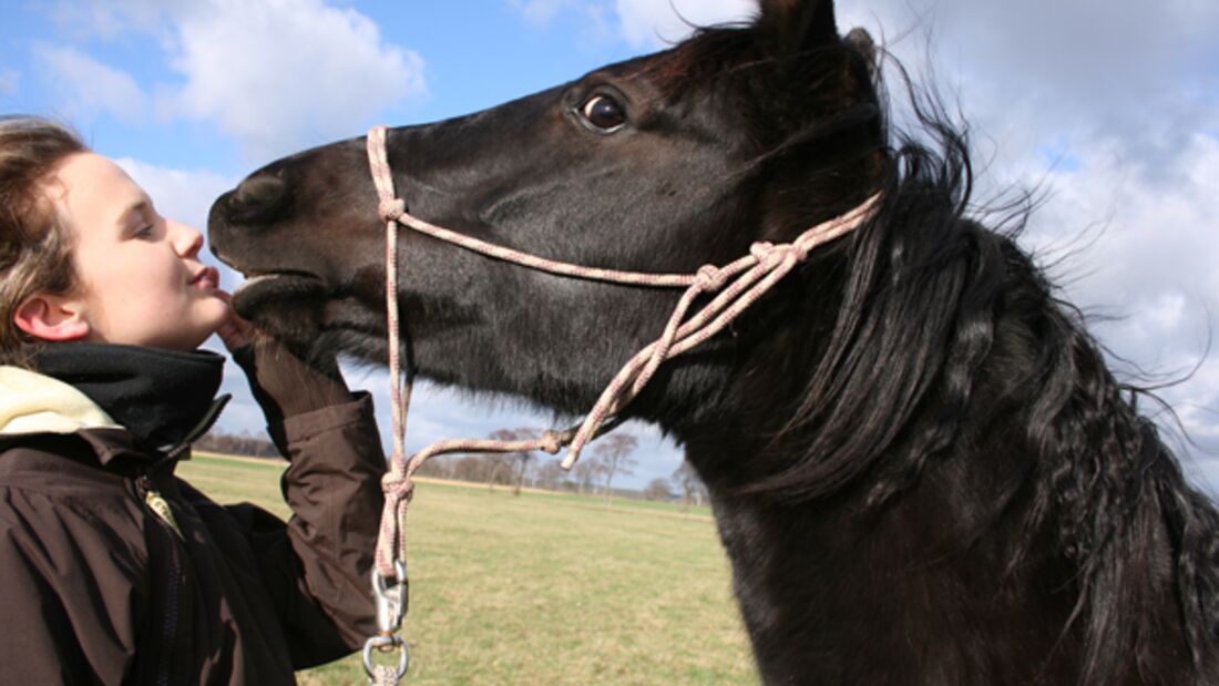 CAV Valentinstag Horselovers 34