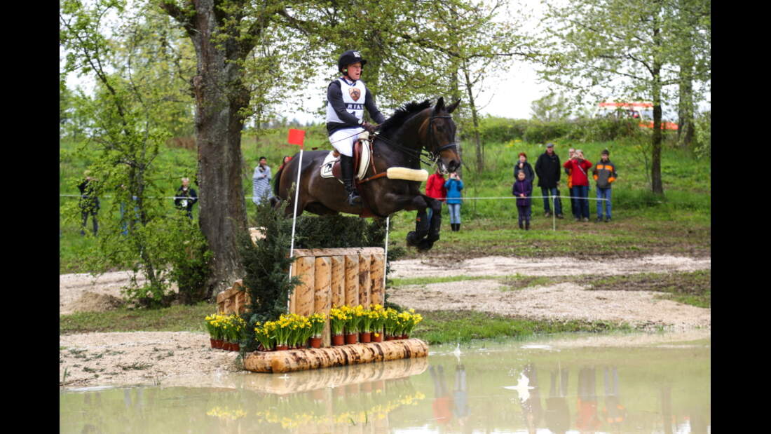 CAV Vieleitigkeit Marbach 2013 Klimke Jung Dibowski Vogg