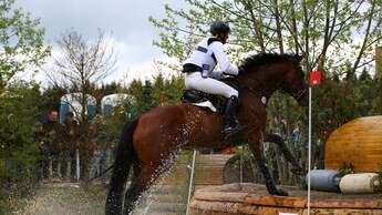 CAV Vieleitigkeit Marbach 2013 Klimke Jung Dibowski Vogg