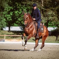 CAV WM Working Equitation Gernot Weber 2018