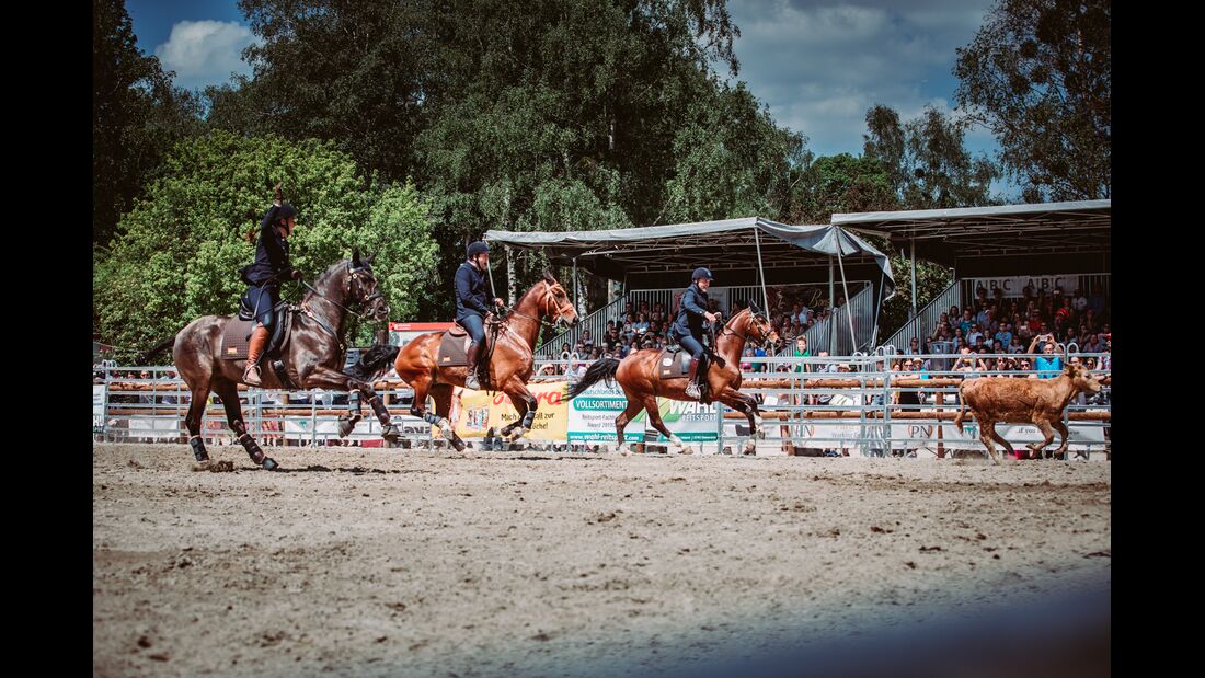 CAV WM Working Equitation Rinderarbeit 2018