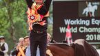 CAV WM Working Equitation Siegerehrung Einzel 2018