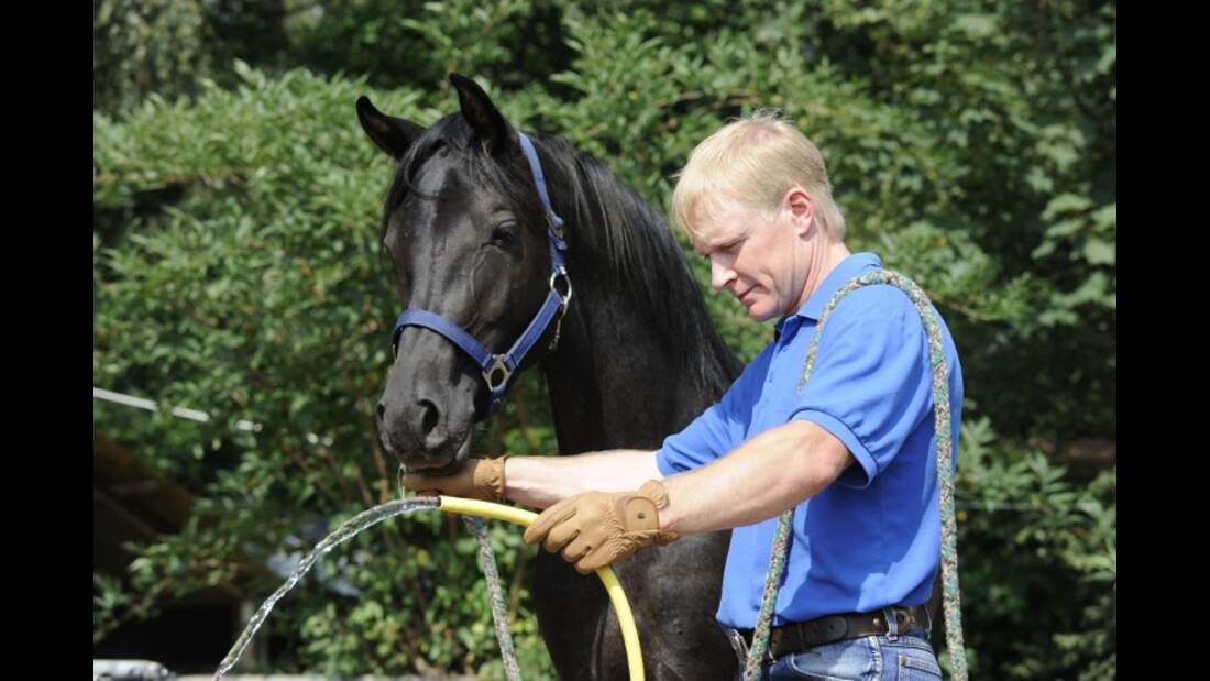 CAV Wasser Wasser-Training Stefan Valentin Horsemanship_09