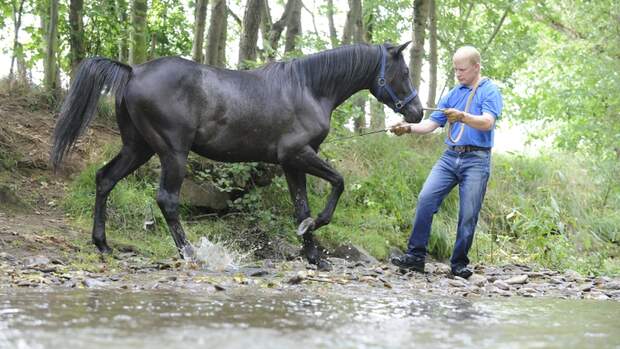 CAV Wasser Wasser-Training Stefan Valentin Horsemanship_17