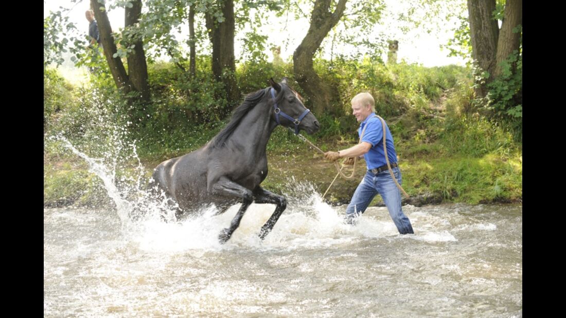 CAV Wasser Wasser-Training Stefan Valentin Horsemanship_19