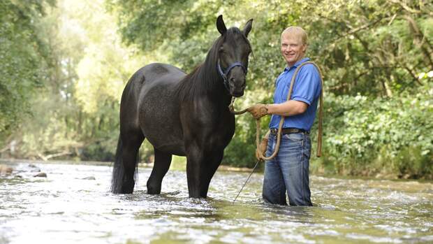 CAV Wasser Wasser-Training Stefan Valentin Horsemanship_20