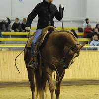 CAV Westernkritik