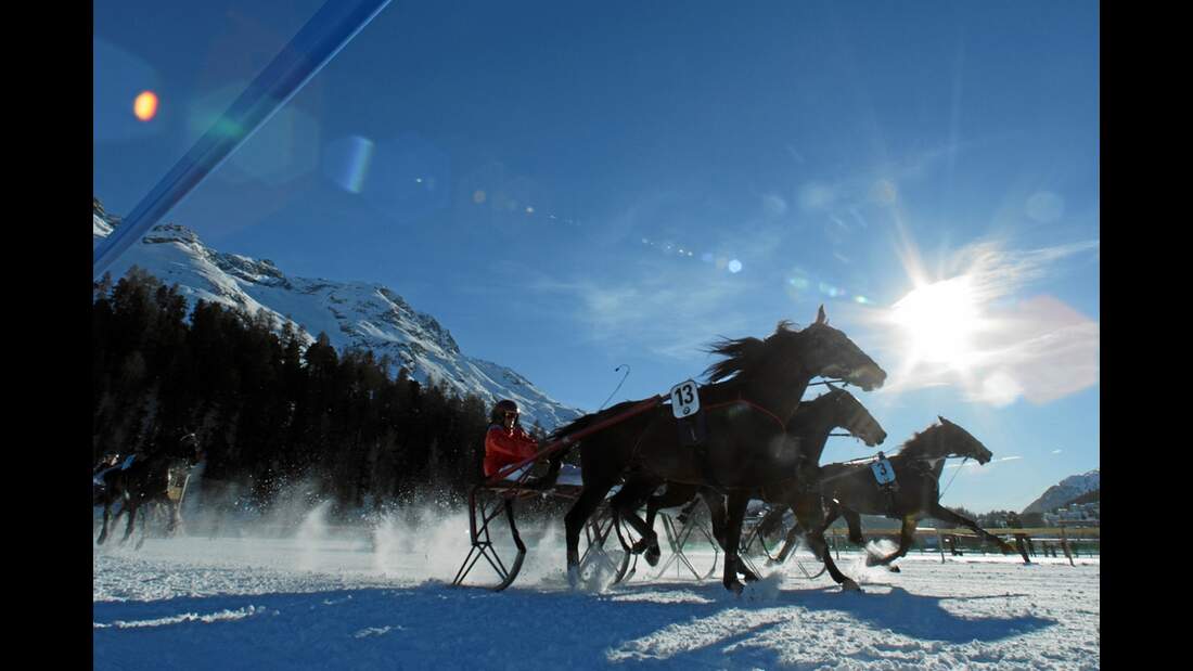 CAV White Turf St. Moritz_aaza0036 (jpg)