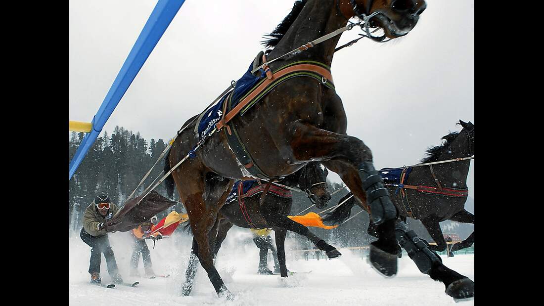 CAV White Turf St. Moritz_aaza9978 (jpg)