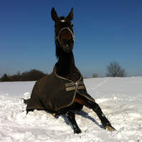 CAV Winter Schnee 3