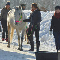 CAV Winterfotos Winter Schnee Sylvia Gnatz