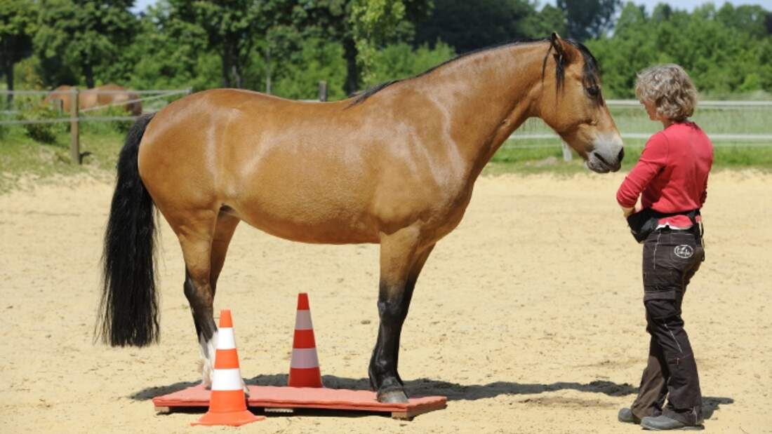 CAV Wippe wippen lernen
