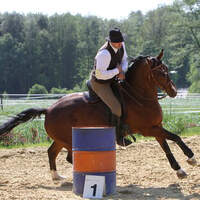 CAV-Working-Equitation-Lengelshof-1 (jpg)