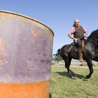 CAV Working Equitation