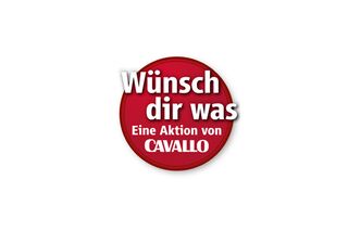 CAV Wünsch Dir was Profi-Coaching Coach Logo