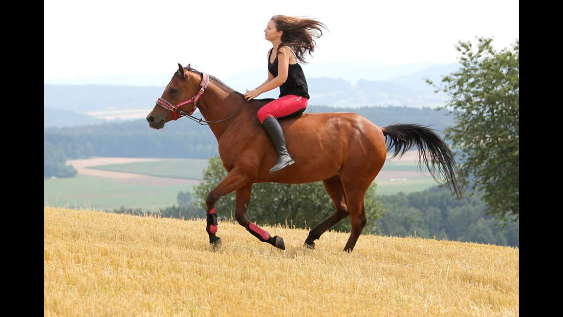 Reiten Und Blasen (Umgekehrt) Reiten Und Blasen (Umgekehrt)