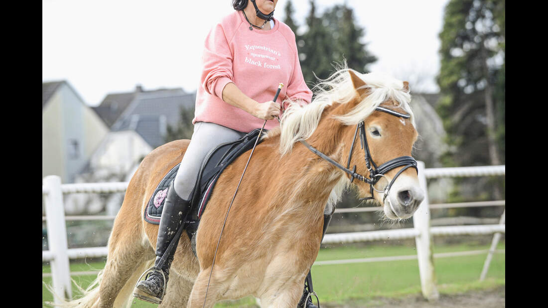 CAVALLO Coach
