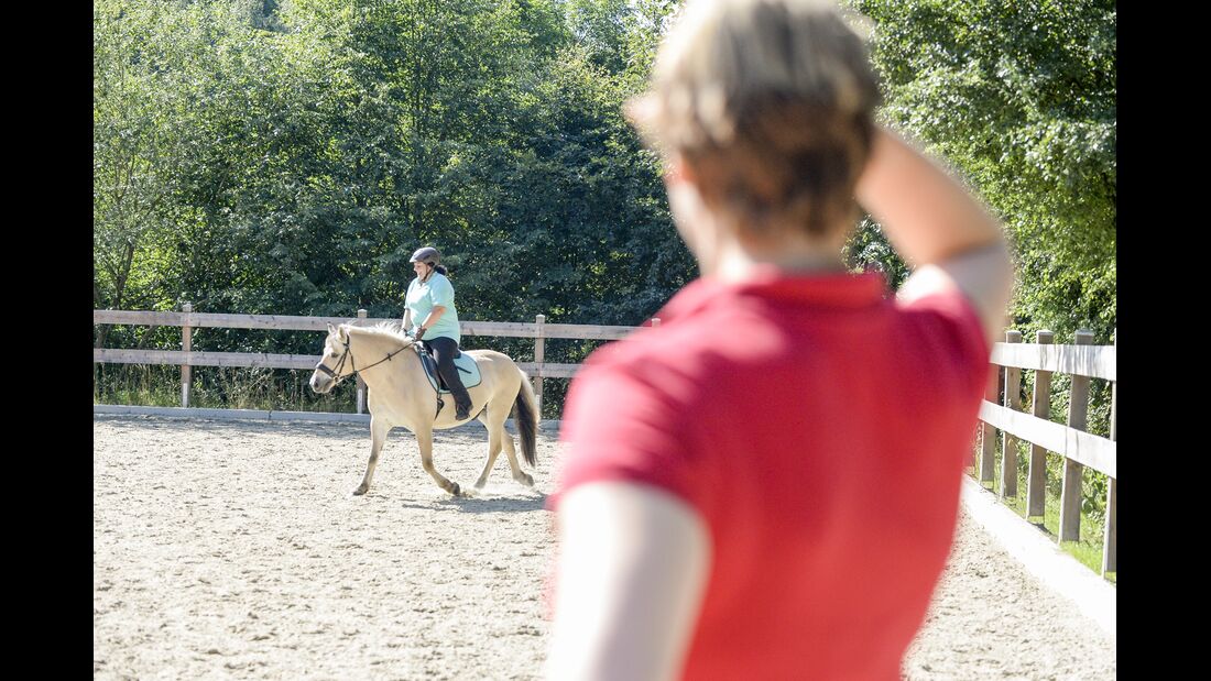 CAVALLO-Coach „Mein Pferd fällt im Galopp immer aus“