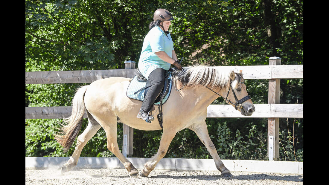 CAVALLO-Coach „Mein Pferd fällt im Galopp immer aus“