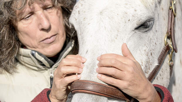 CAVALLO Craniosacrale Therapie