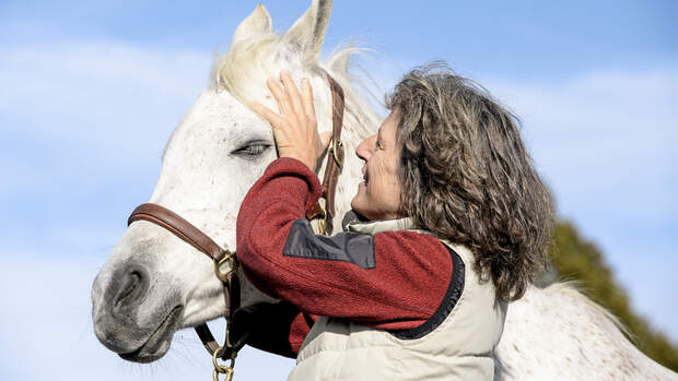 CAVALLO Craniosacrale Therapie