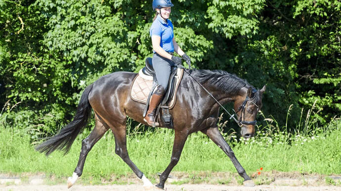 CAVALLO Magazin cavallo.de