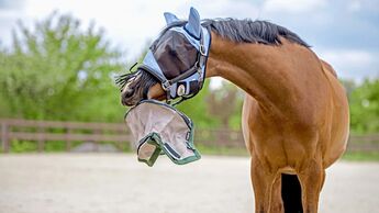 CAVALLO Fliegenmasken im Test