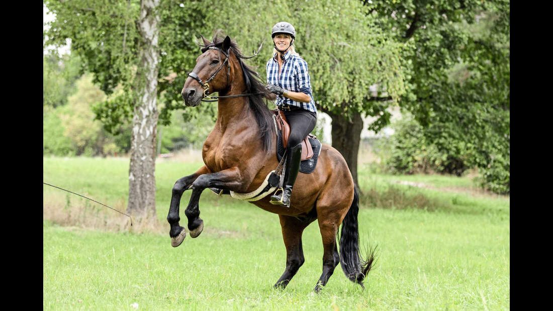 CAVALLO Hautnah bei Katja Schnabel
