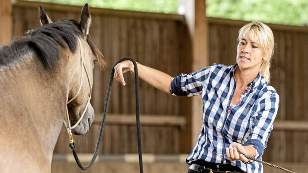 CAVALLO Hautnah bei Katja Schnabel