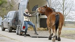 CAVALLO Katja Schnabel  - Enge wie beim Verladen