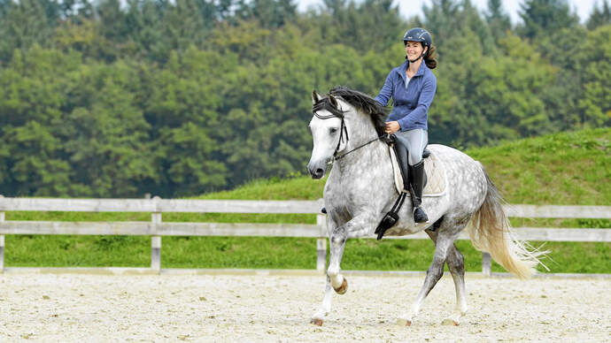 CAVALLO Magazin cavallo.de