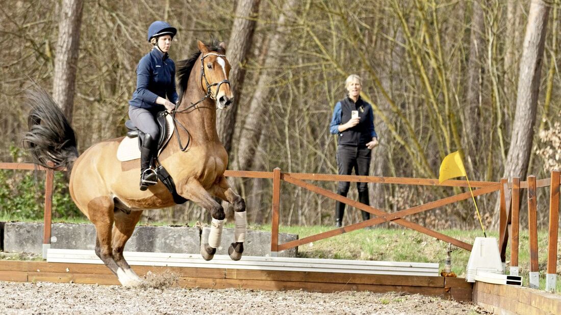 CAVALLO Pferde-Profi Katja Schnabel zeigt Übungen, wie schreckhafte Vierbeiner mit guter Führung gelassener werden und Herausforderungen meistern