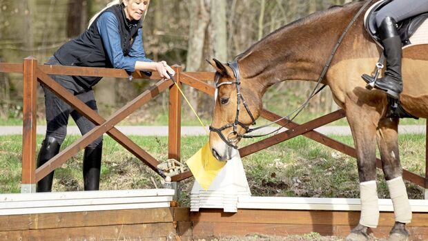 CAVALLO Pferde-Profi Katja Schnabel zeigt Übungen, wie schreckhafte Vierbeiner mit guter Führung gelassener werden und Herausforderungen meistern