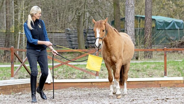 CAVALLO Pferde-Profi Katja Schnabel zeigt Übungen, wie schreckhafte Vierbeiner mit guter Führung gelassener werden und Herausforderungen meistern