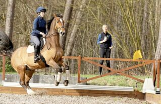 CAVALLO Pferde-Profi Katja Schnabel zeigt Übungen, wie schreckhafte Vierbeiner mit guter Führung gelassener werden und Herausforderungen meistern