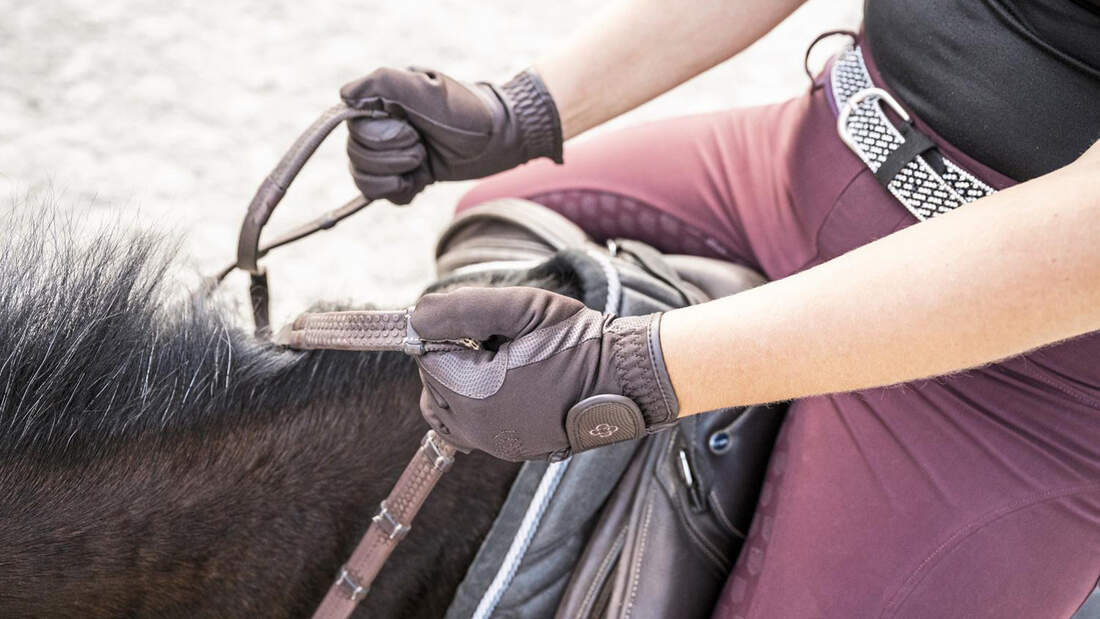 Schwierige Klassen In Den Griff Bekommen Die sechs häufigsten Handfehler beim Reiten | cavallo.de