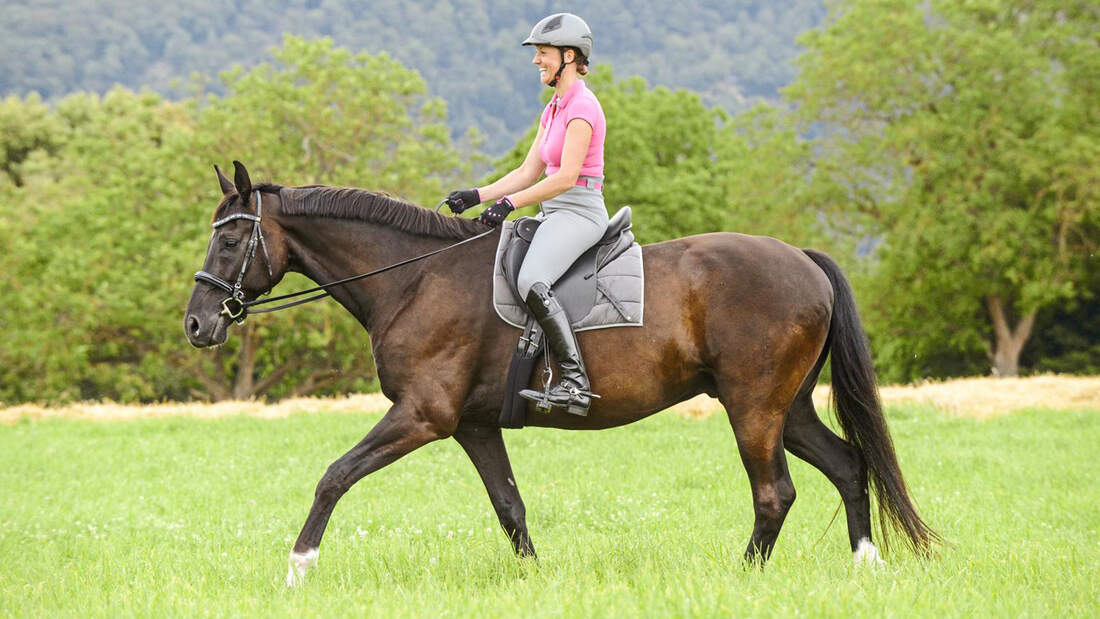 Fit Im Viertakt So Gelingt Ein Guter Schritt Cavallo De