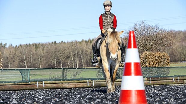 CAVALLO Training auf gerader Linie